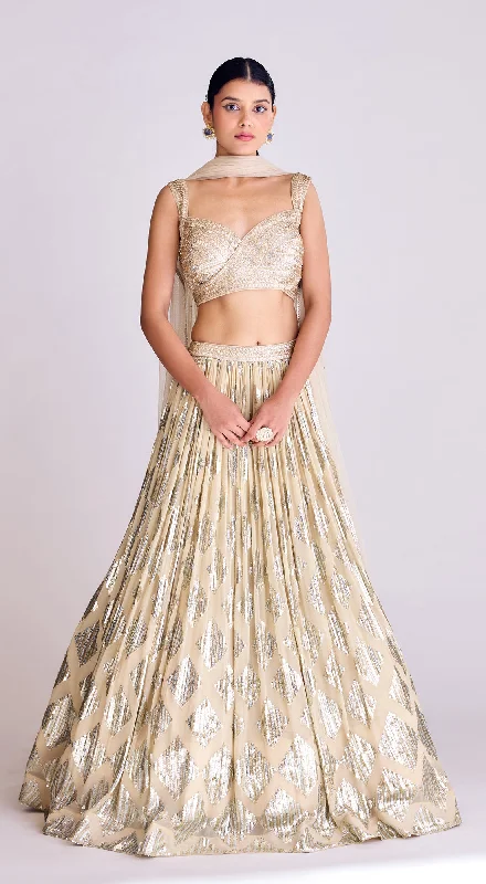 Elegant Evening Gowns Ivory Georgette Lehenga Set